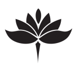 Yoga Kursplan