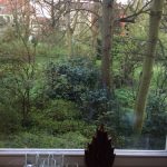 Yoga_Ausblick