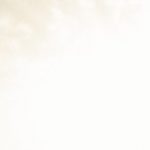 cropped-header_yoga_Hannover.jpg