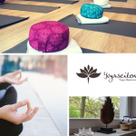 yogaseiten yoga hannover