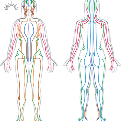 Meridiane TCM Yin Yoga